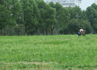 优秀学生作品——何莉《人生是旷野》